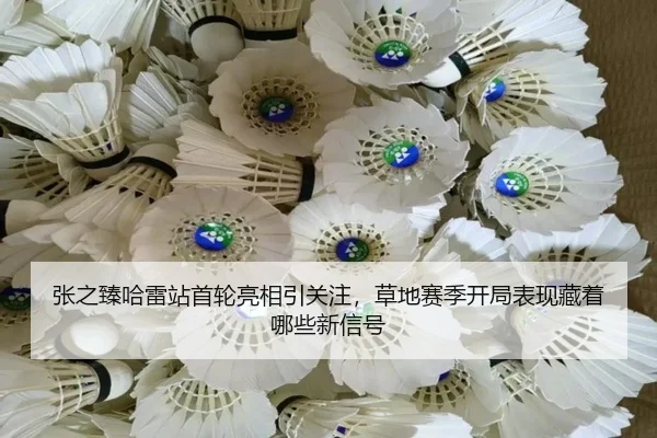 张之臻哈雷站首轮亮相引关注，草地赛季开局表现藏着哪些新信号